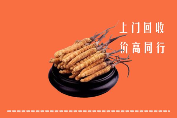 高价求购：翁源县回收散虫草