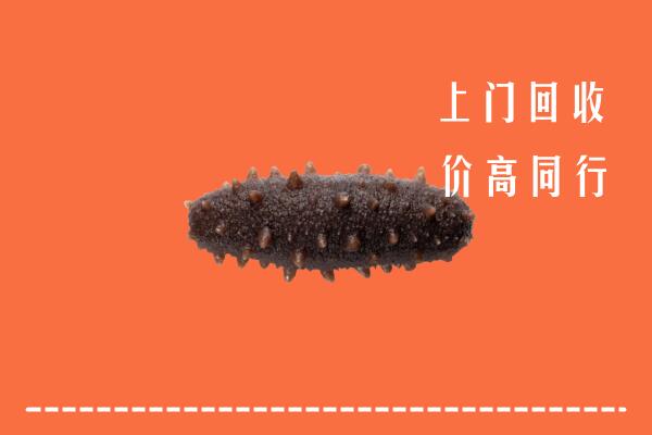 高价求购：翁源县回收海参