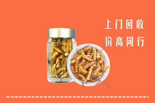 翁源县回收冬虫夏草